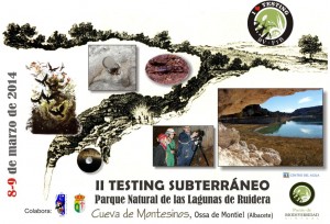 Actividades