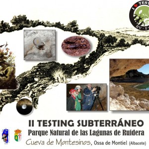 II Testing Subterráneo Biodiversidad Virtual Manchego