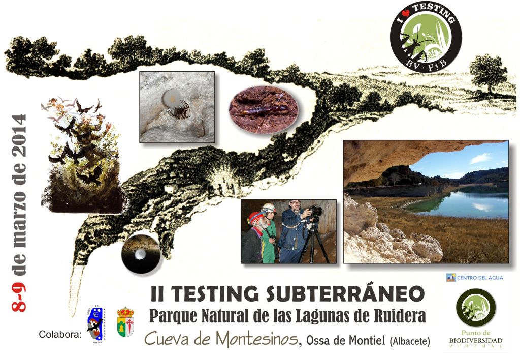 Cartel II TESTING subterraneo 2014